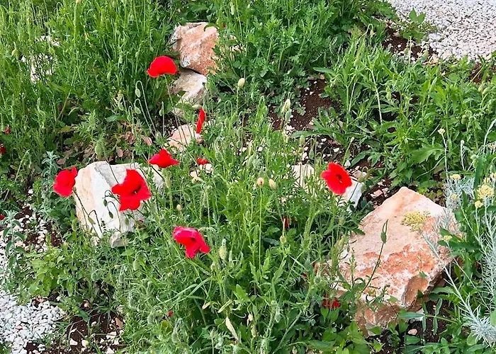 Kresina